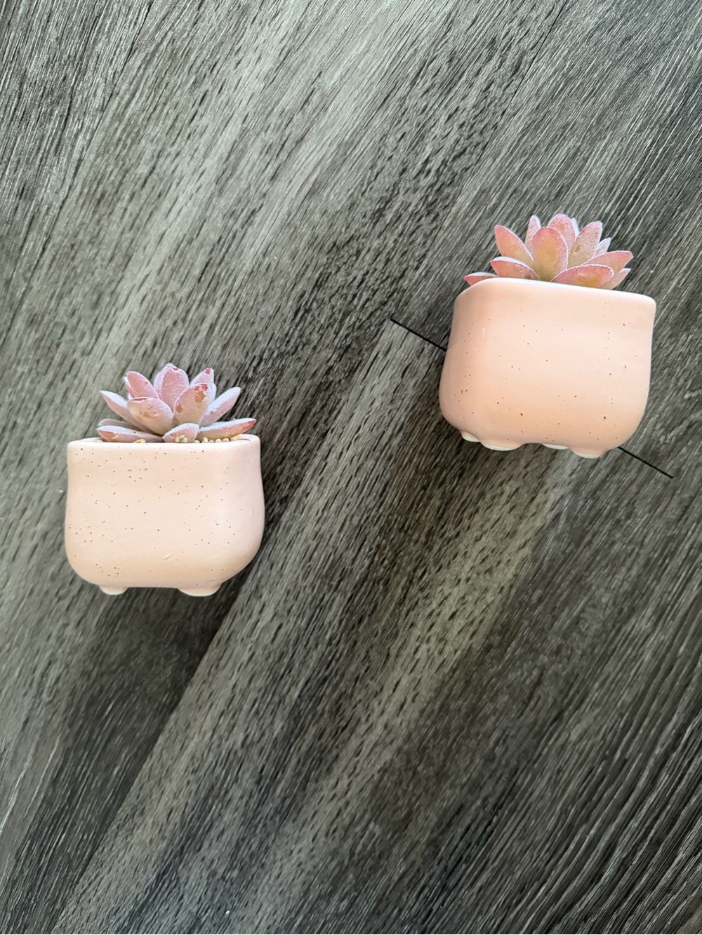 Pink Ceramic Mini Planter Pair with Succulent - Home Accents